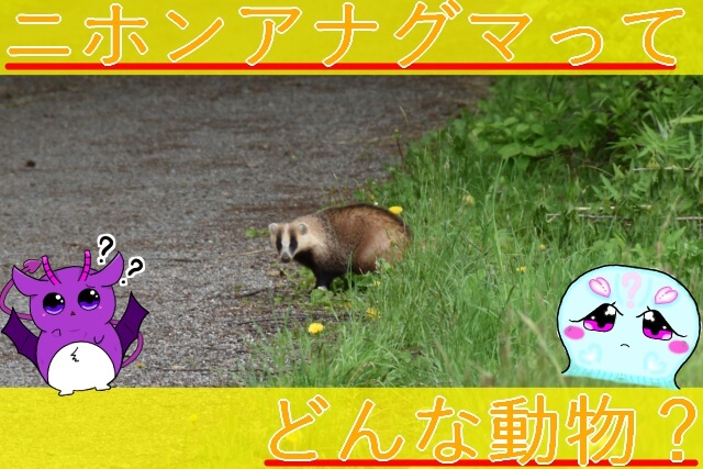 Thumbnail of post image 058